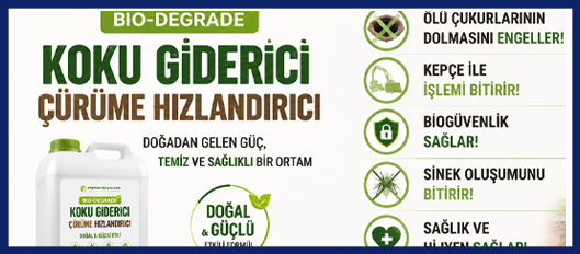 bio-grade çürüme hızlandırma, ölü çukuru eritme