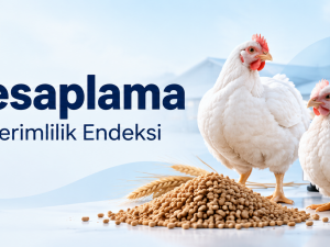 EPEF Hesaplama