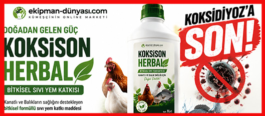 koksiyoza son verin