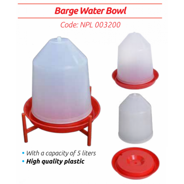 Civciv Suluğu Civciv Suluğu