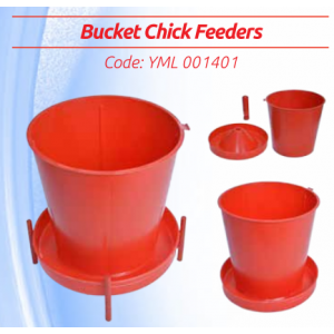 Civciv Yemliği Civciv Yemliği