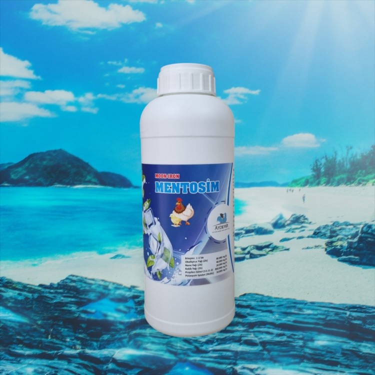 MENTOSİM MENTOSİM