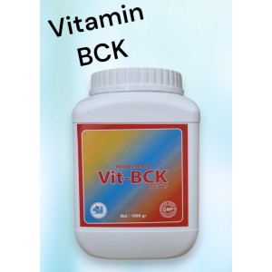 VİT-BCK VİT-BCK