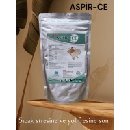 ASPİR-CE